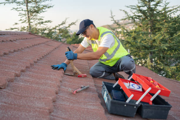 Best Roof Repair Services  in Brisbane, CA